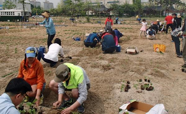 부천 알짜 특강 골라듣기