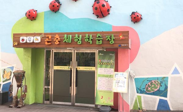 “도심 속에서 만나보는 곤충의 세계”