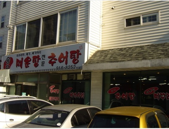 송포털레기
